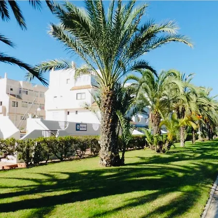 Lmha25, Puerto Latino 11, Tomas Maestre Marina, *